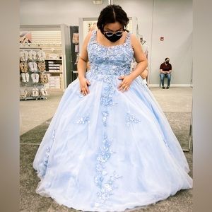 Fifteen Roses XV dress